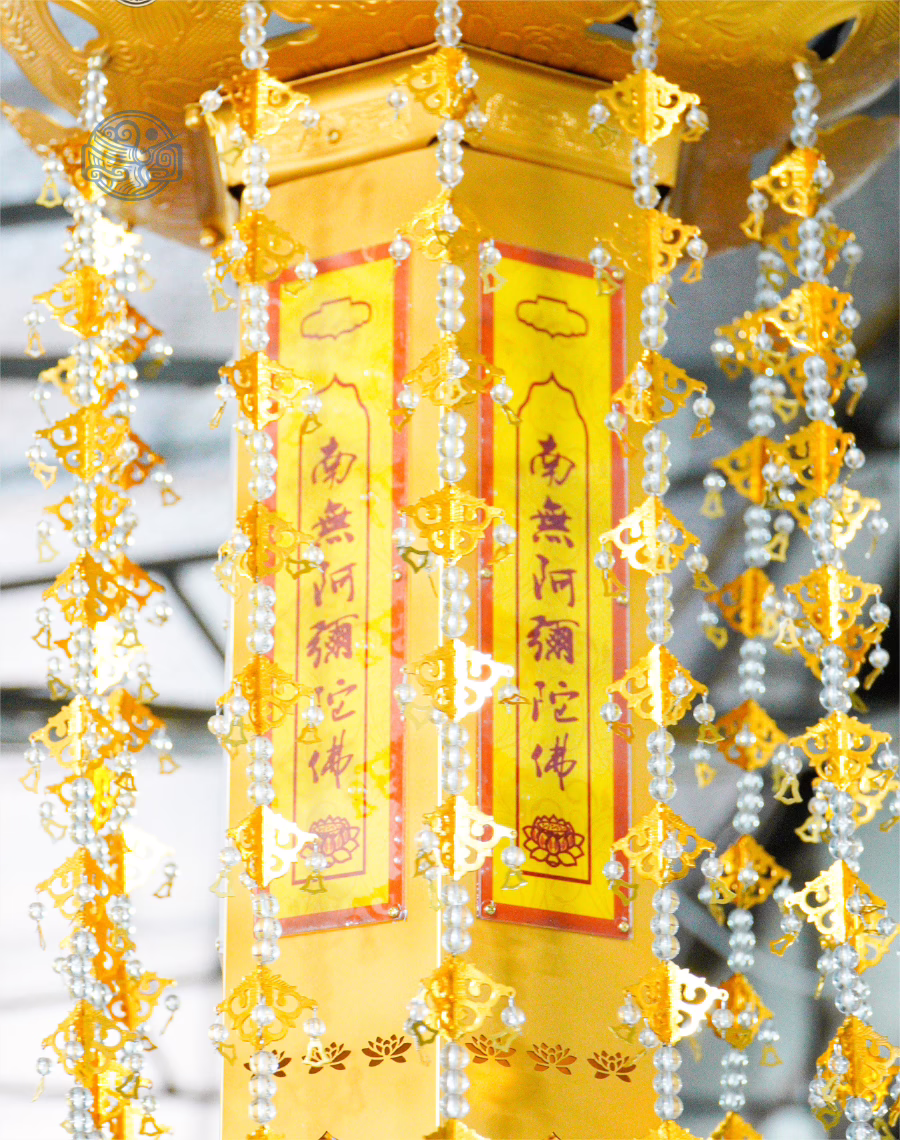 Vòng tay chỉ đỏ cá chép may mắn - Ảnh 3